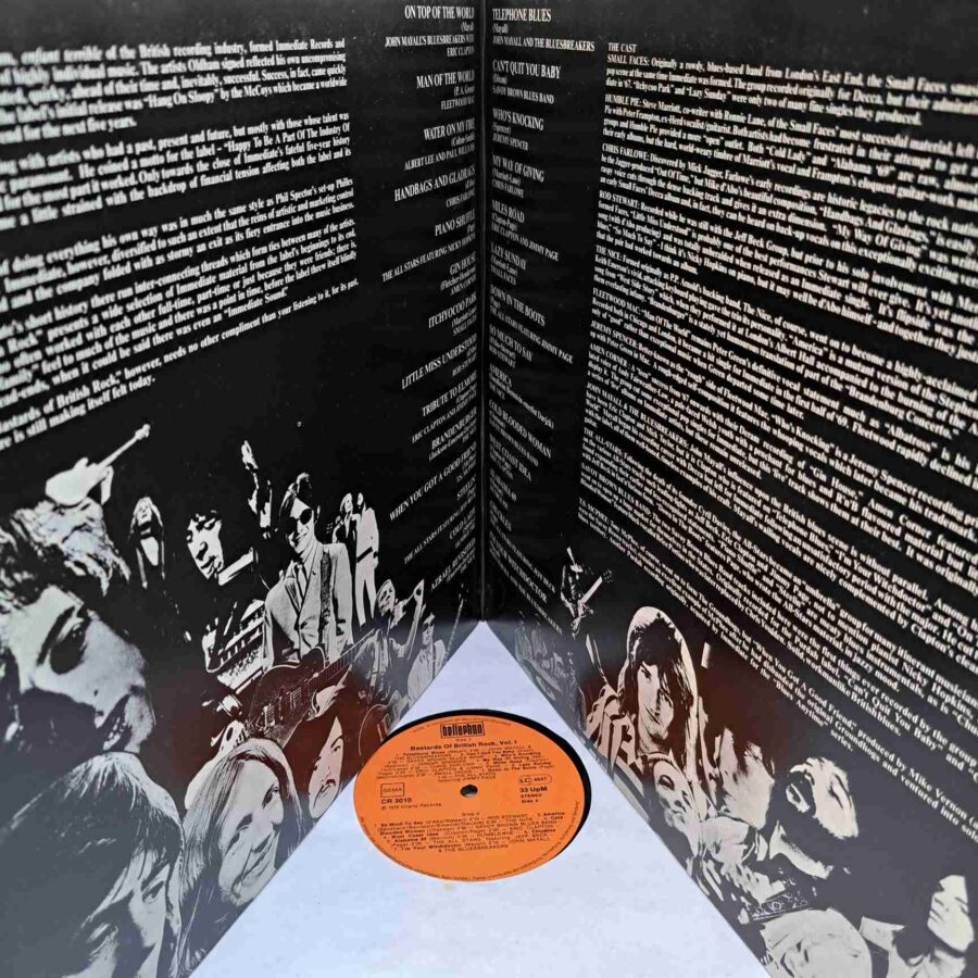 Bastards Of British Rock - Fleetwood Mac, Eric Clapton, Rod Stewart, Savoy Brown Blues Band – Disc Vinil 2LP VG (lotK)