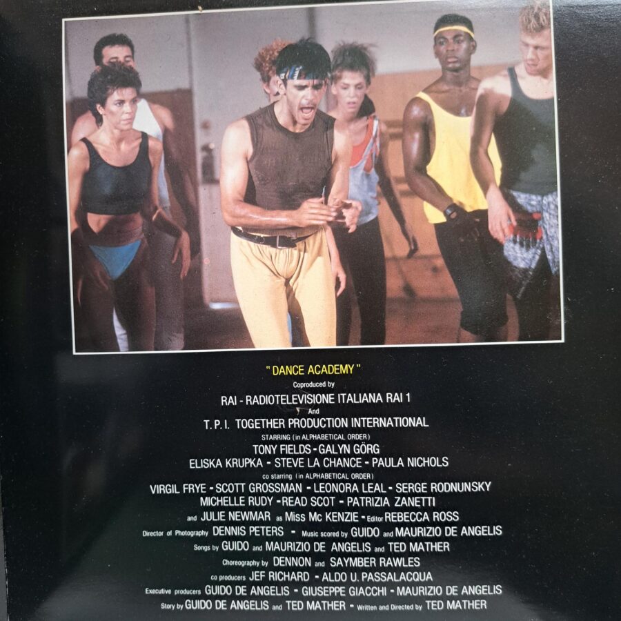 Dance Academy - The Original Soundtrack – Disc Vinil 2LP VG+ (lotB) - Paula Nichols, Matt Di Napoli, Chuck Francour, Darryl Phinnessee, Ted Mather