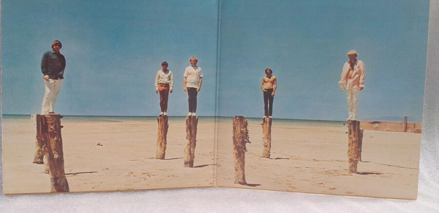 The Beach Boys 20 Greatest Hits Disc VINIL LP VG+