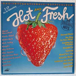 Hot And Fresh – Bad Boys Blue, C.C. Catch, Vaya Con Dios, Nino De Angelo, David Hasselhoff – Disc Vinil 2LP VG VG+ (lotH) - 303 533