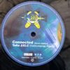 Ayu – Connected (Remix Edition) Disc VINIL LP VG+ MAXI