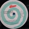 Bad Boys Blue – House Of Silence (1) Bad Boys Blue – House Of Silence – Disc Vinil MAXI 45 RPM VG (lotD)