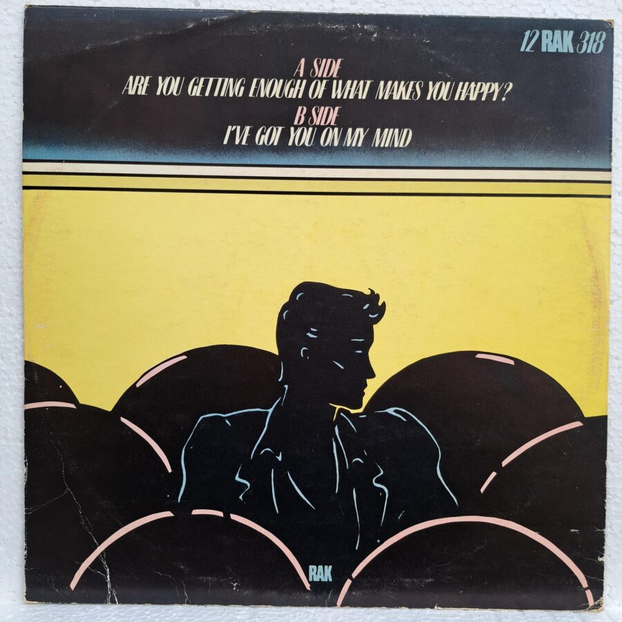Hot Chocolate – Are You Getting Enough Of What Makes You Happy (2) Hot Chocolate – Are You Getting Enough Of What Makes You Happy? Disc VINIL MAXI VG+ (box6)