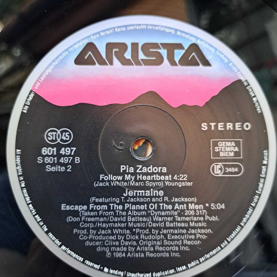 Jermaine Jackson & Pia Zadora – When The Rain Begins To Fall DISC VINIL LP Jermaine Jackson & Pia Zadora – When The Rain Begins To Fall DISC VINIL MAXI VG+ (boxE)