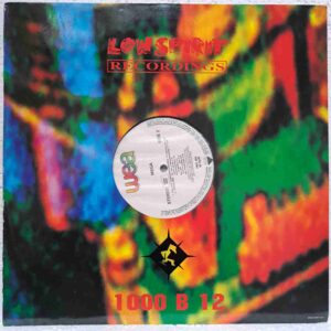 Mega – You Got A Bausparvertrag (The Remixes) (2) Mega – You Got A Bausparvertrag (The Remixes) – Disc Vinil MAXI 45 RPM VG+ (lotM)