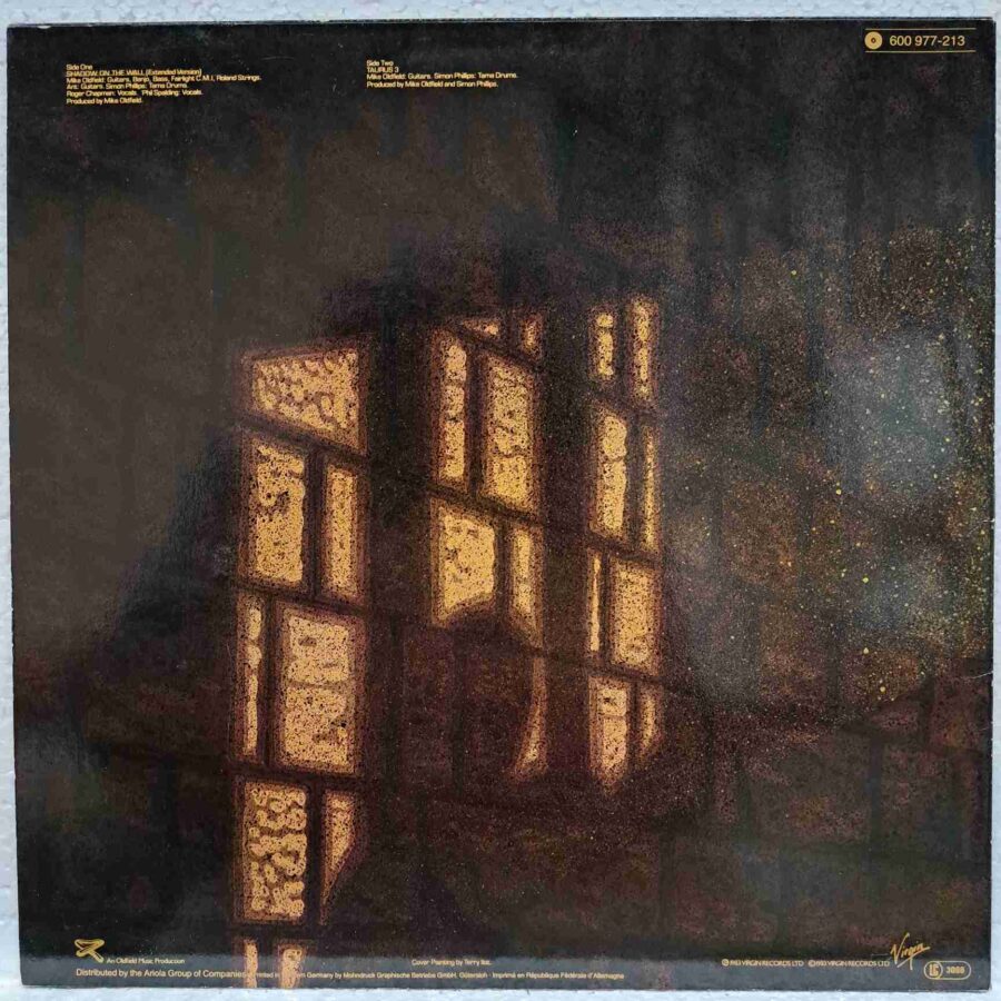 Mike Oldfield And Roger Chapman – Shadow On The Wall (Extended Version) (3) Mike Oldfield And Roger Chapman – Shadow On The Wall (Extended Version) - Disc Vinil MAXI 45 RPM VG+ (lotM)