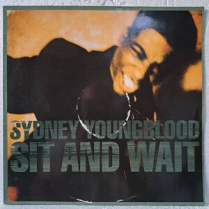 Sydney Youngblood – Sit And Wait (2) Sydney Youngblood – Sit And Wait - Disc Vinil MAXI 45 RPM VG VG+ (lotD)