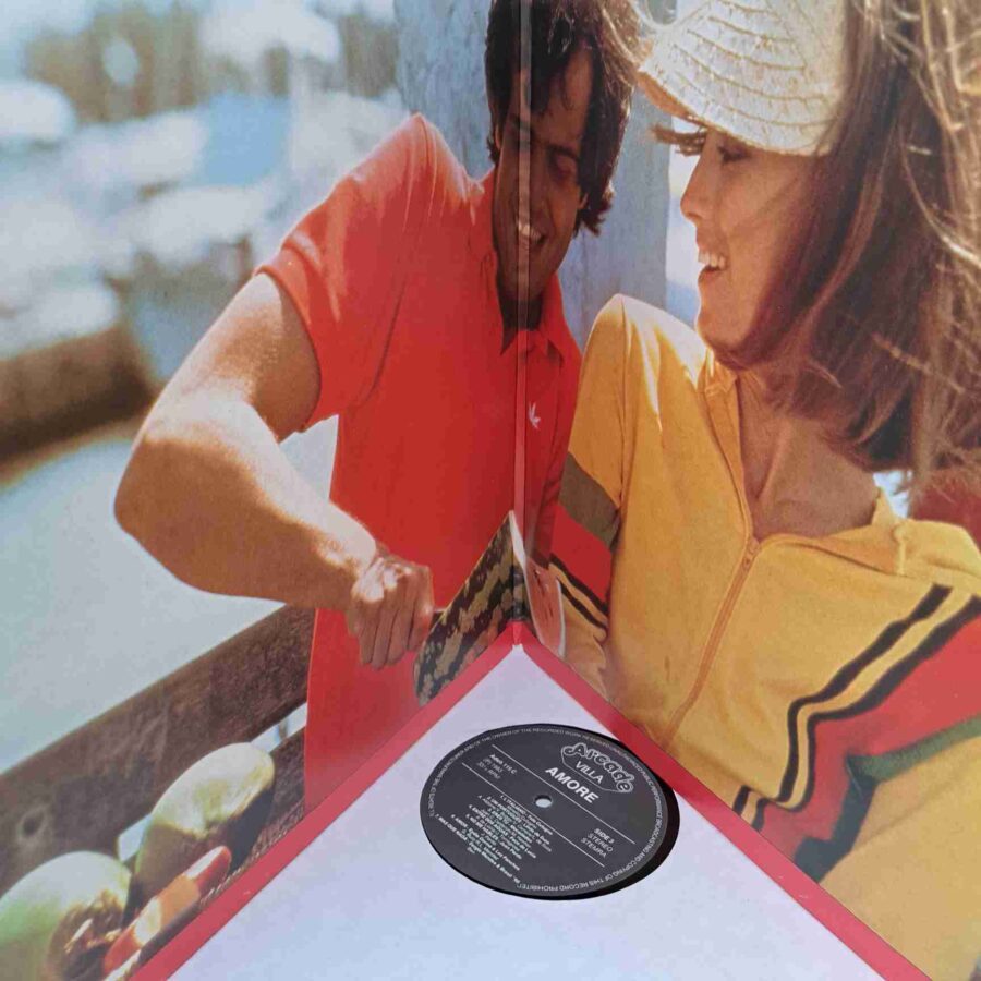 Amore - 28 Summer Love Songs SKU3 (1) Amore - 28 Summer Love Songs - Al Bano & Romina Power, Ricchi & Poveri, Adriano Celentano – Disc Vinil 2LP VG