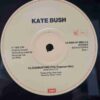 Kate Bush – Cloudbusting SKU13 (1) Kate Bush – Cloudbusting - Disc VINIL MAXI 45 RPM VG+