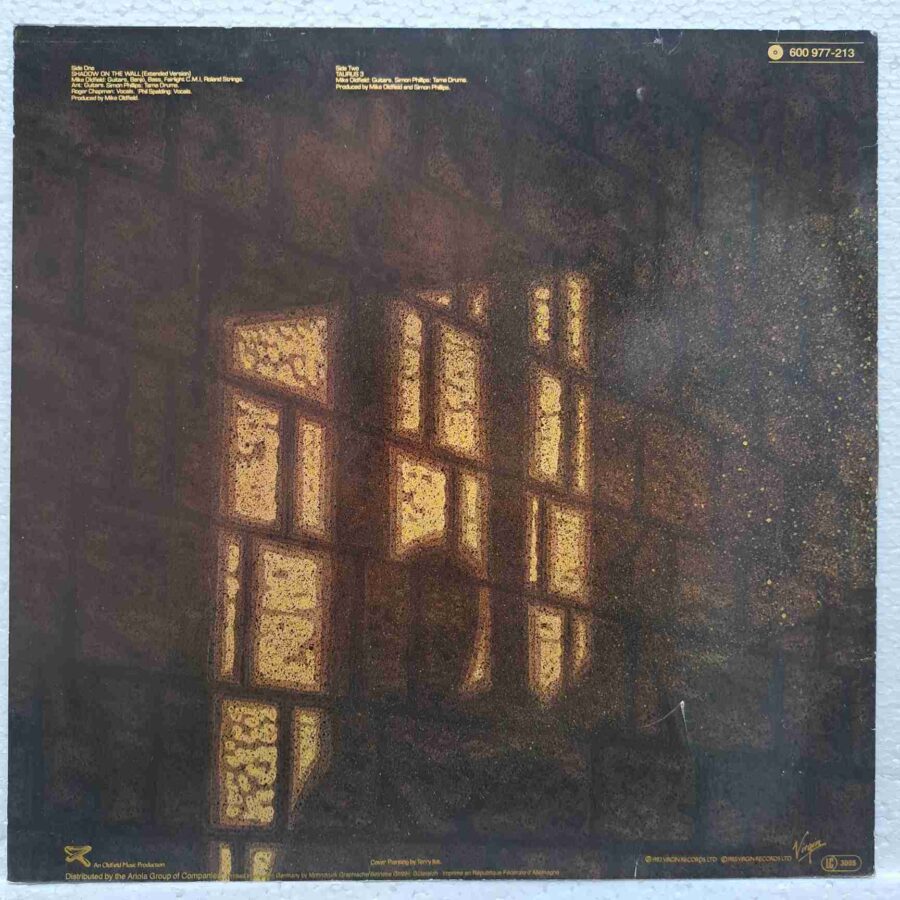 Mike Oldfield And Roger Chapman – Shadow On The Wall (Extended Version) - Disc VINIL MAXI 45 RPM VG+