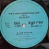 Gazebo Savage – The Golden Dance-Floor Hits Vol. 19 (1) Gazebo Savage – The Golden Dance-Floor Hits Vol. 19 - Disc VINIL MAXI 45 RPM EX