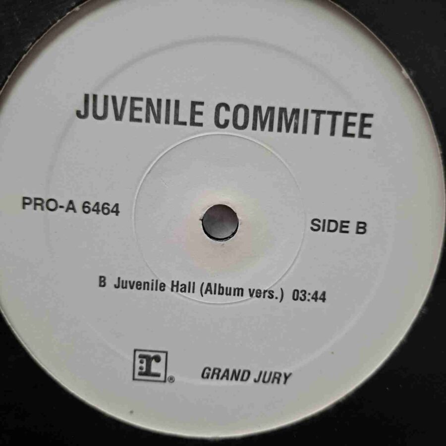 Juvenile Committee – Make 'Em Stand Juvenile Hall SKU9 (1) Juvenile Committee – Make 'Em Stand / Juvenile Hall - Disc VINIL MAXI VG+ US