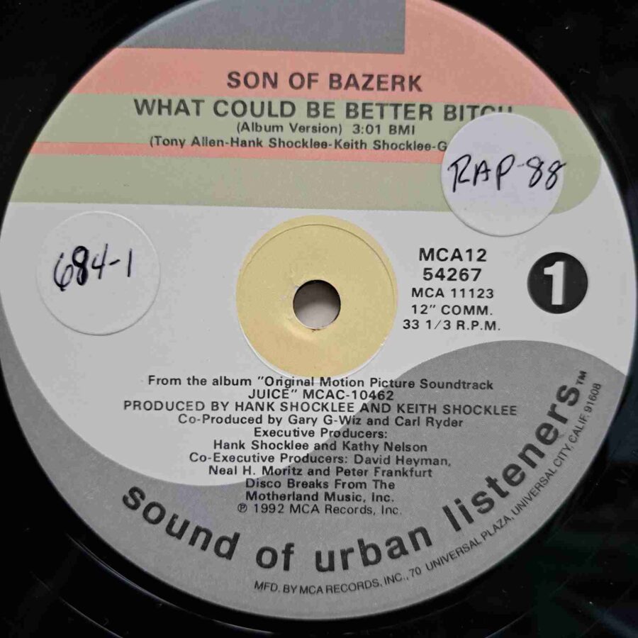 Son Of Bazerk – What Could Be Better Bitch SKU9 (1) Son Of Bazerk – What Could Be Better Bitch - Disc VINIL MAXI VG+ US